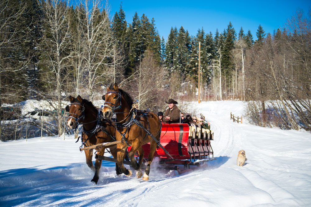 A snowy sleigh ride with a dog running alongside
